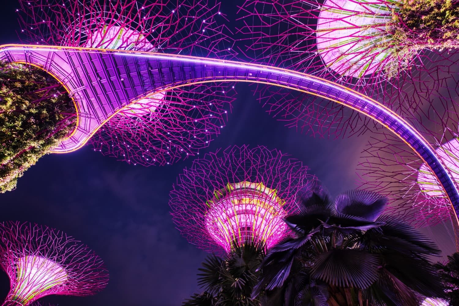 Singapore IB Workshop - DP Film