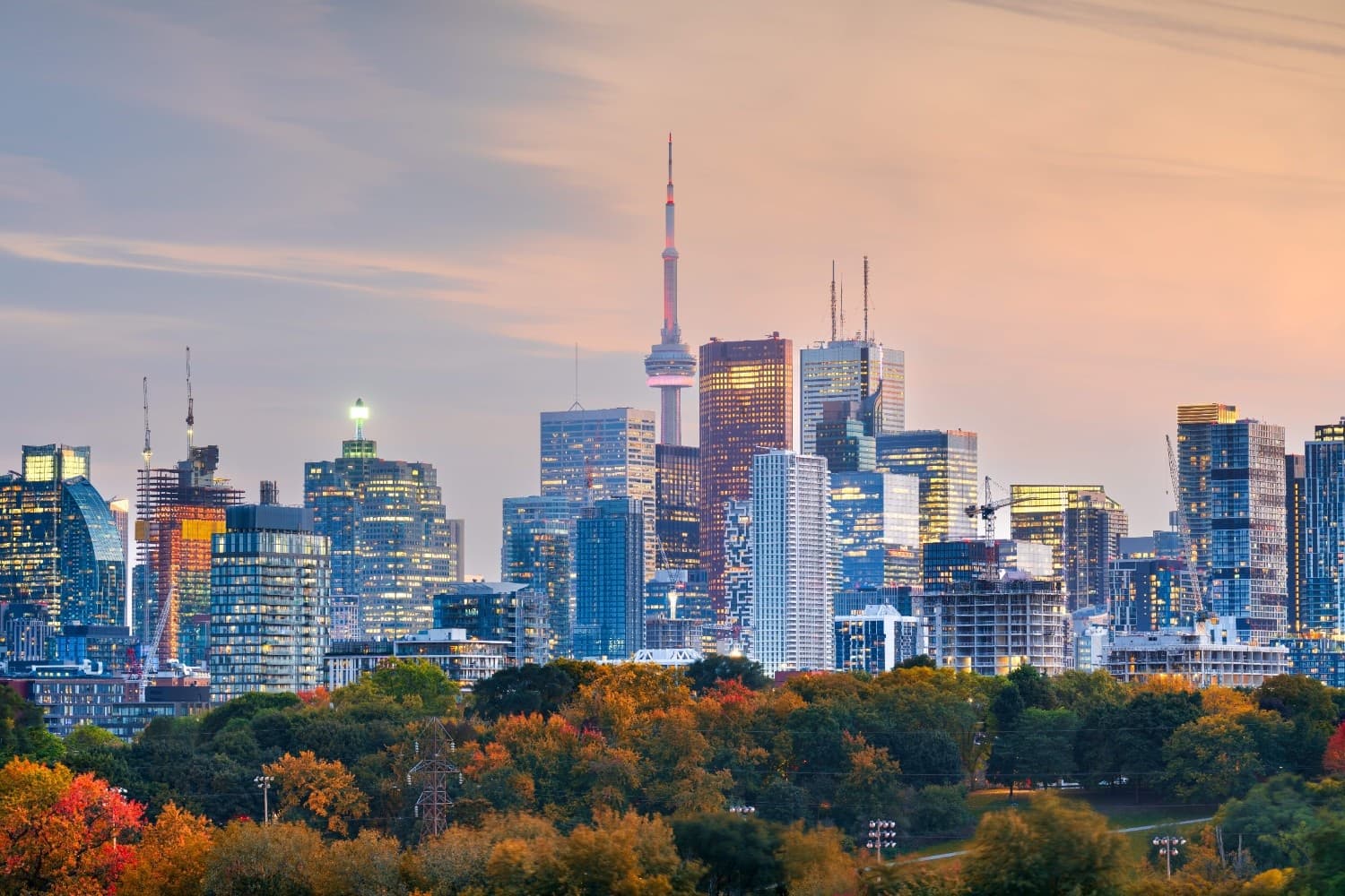 Toronto IB Workshop - DP Film