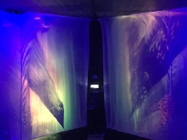 A pair of curtains with images of animals Description automatically generated